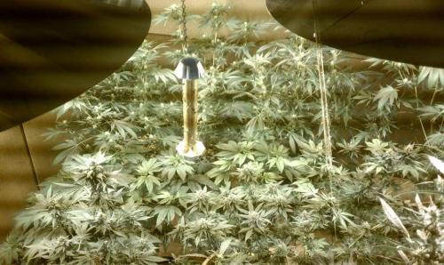 03:50:40 GMT-0800 (PST)