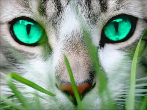 07:01:39 GMT-0600 (CST)