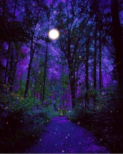 19:34:07 GMT-0600 (CST)