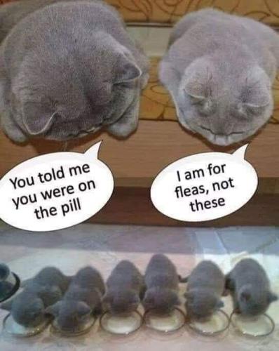 08:49:43 GMT-0600 (CST)