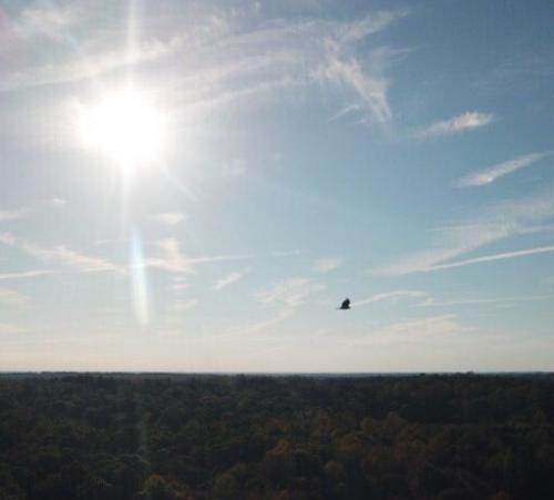 18:41:21 GMT-0500 (EST).image