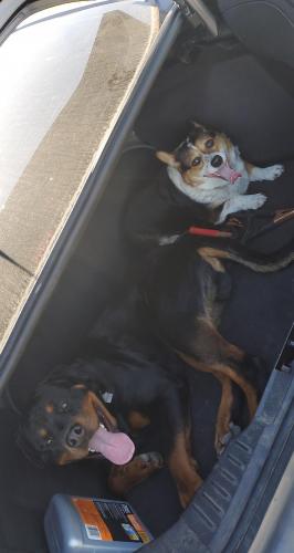 13:48:53 GMT-0800 (PST)