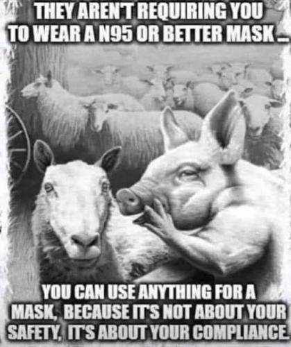 06:56:36 GMT-0800 (PST).image