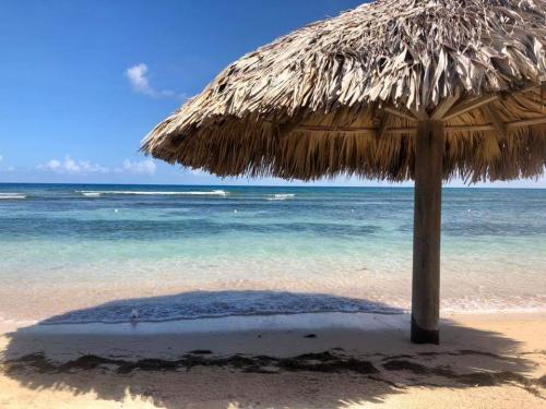 08:00:31 GMT-0500 (EST).image