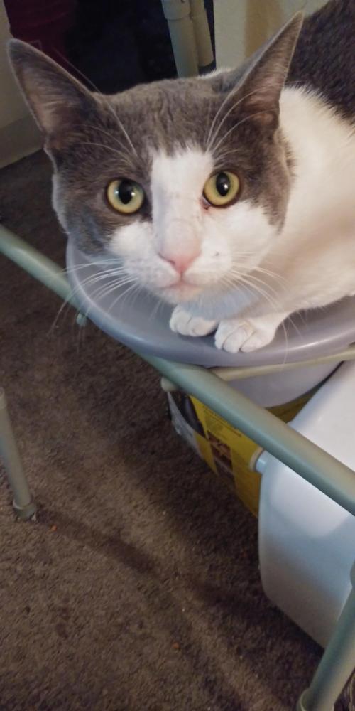 07:21:19 GMT-0800 (PST)