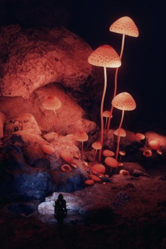 tumblr_opgj6aH0bq1qgvvtno1_540