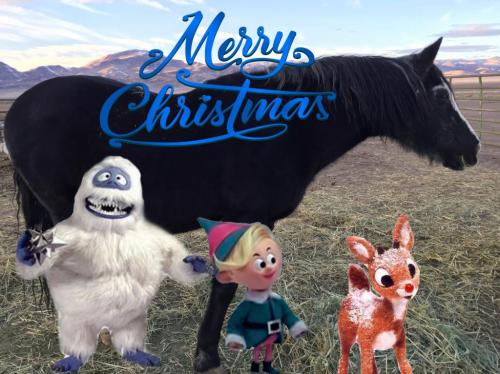 19:53:55 GMT-0800 (PST).image