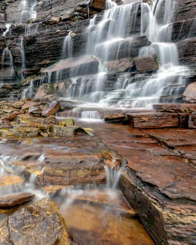 134040577_246491160175841_549164618433429131_o