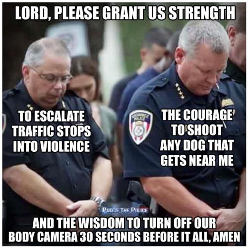 132191001_428446321818424_816427778621210542_o