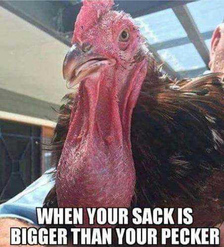 16:15:34 GMT-0600 (CST).image