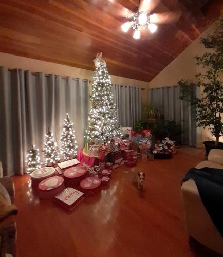 2020-12-04_183527 Almost done sm