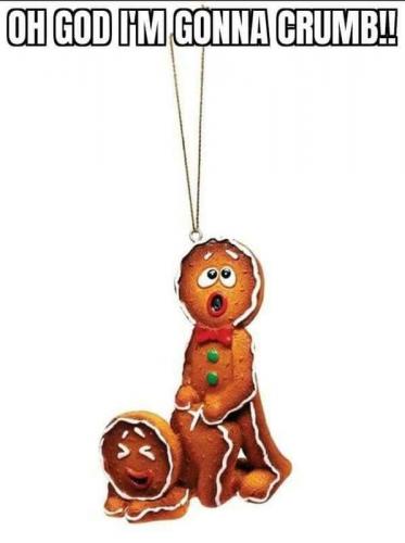 23:56:31 GMT-0600 (CST)