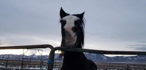 09:54:19 GMT-0800 (PST).image