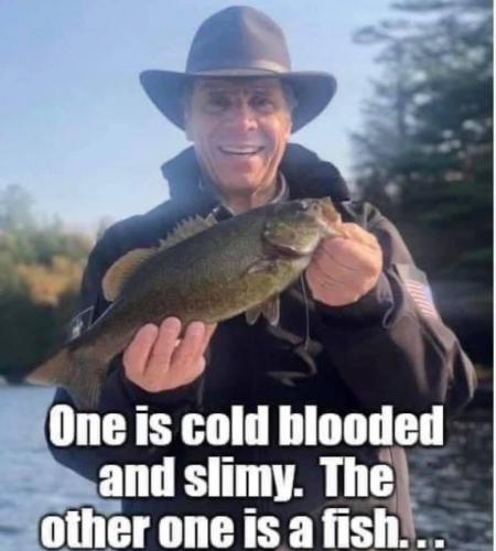 22:01:35 GMT-0800 (PST).image