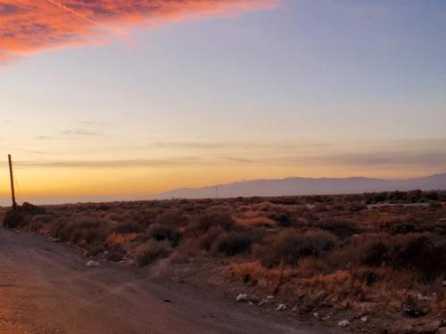 03:38:47 GMT-0800 (PST)