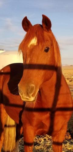 20:09:26 GMT-0800 (PST).image