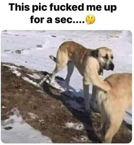 03:51:16 GMT-0600 (CST)