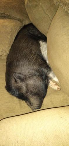 07:45:04 GMT-0500 (EST)