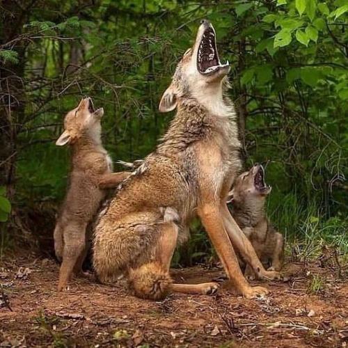 130542563_212304660463568_1765719977210316347_o