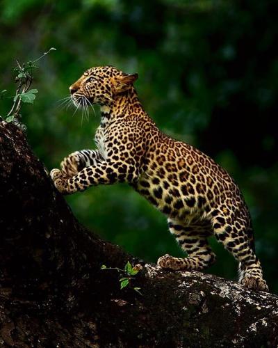 131894423_1125672027872644_694866782254593855_o