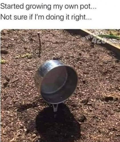 12:11:45 GMT-0600 (CST)