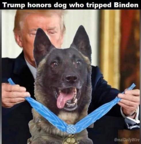 23:31:21 GMT-0600 (CST)