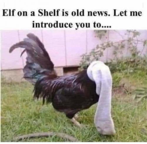 17:56:29 GMT-0600 (CST)