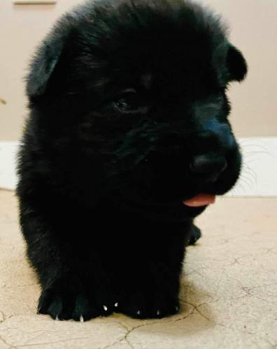 23f422768fc6835728ac820fc5ae8946.0