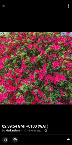 20:10:53 GMT-0600 (CST)