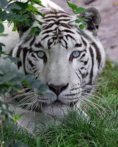 13:54:36 GMT-0600 (CST)