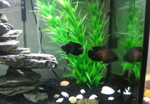 05:30:24 GMT-0600 (CST)