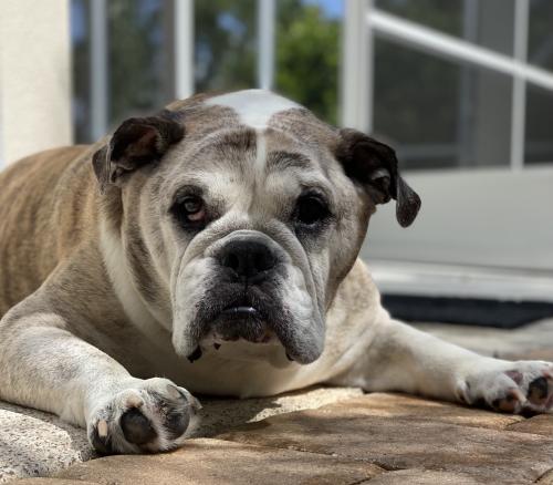 15:22:08 GMT-0500 (EST).image