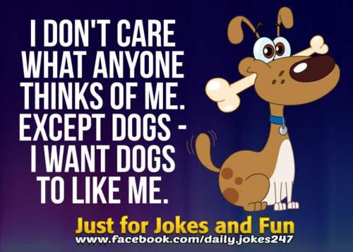 12:10:07 GMT-0500 (EST)