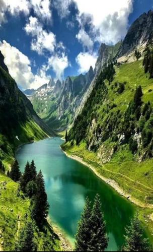 131138567_10218320447313758_3730009055983507120_n