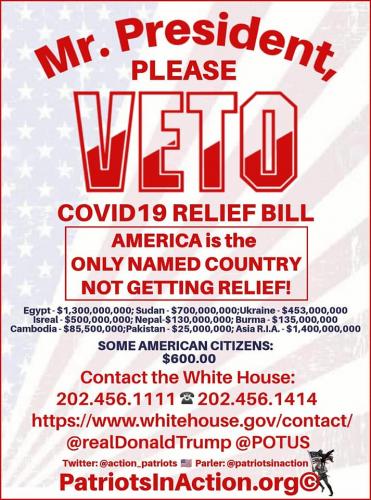 veto the covid relief bill