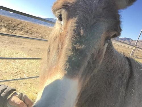 07:11:33 GMT-0800 (PST).image