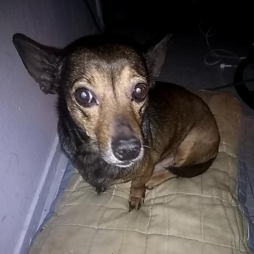 17:54:18 GMT+0100 (WAT)