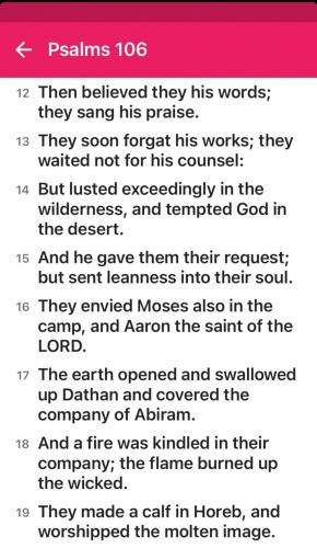 0C2931C4-95A2-414D-81EF-3D8ABE5C4DAC