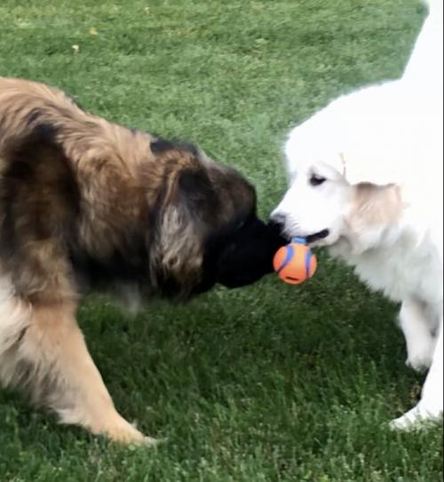 04:07:55 GMT-0500 (EST).image