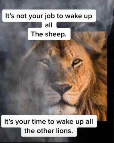 08:06:08 GMT-0500 (EST)