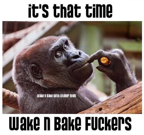 06:11:00 GMT-0500 (EST).image