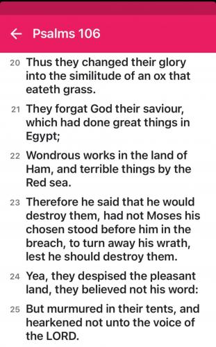 C477F767-99B3-4534-9708-4AE5BDE29182