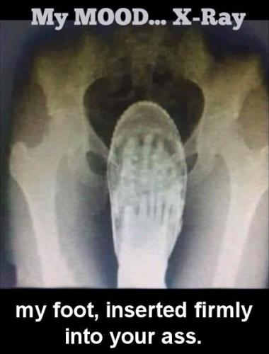 my foot up your ass
