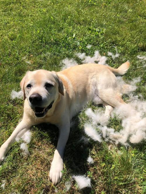 11:02:58 GMT+0100 (WAT).image