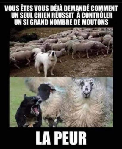 17:11:05 GMT-0400 (AST)