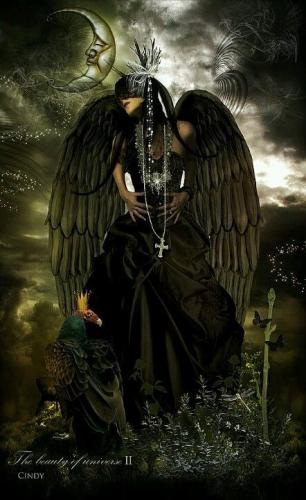 tumblr_3684776f0985fb631f24f8b70888b33b_b3a11aba_500