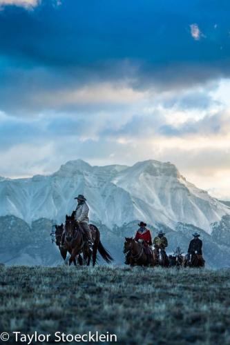 131520880_1232013717184260_7000649598931265381_n