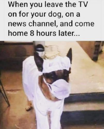 11:37:31 GMT+0000 (GMT)