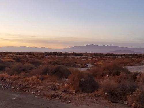 03:38:47 GMT-0800 (PST)