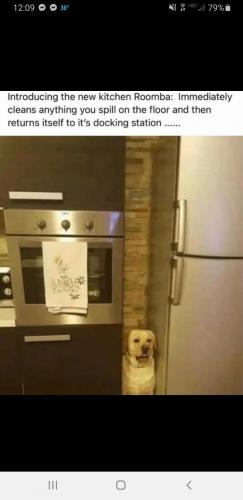 17:30:49 GMT-0600 (CST)